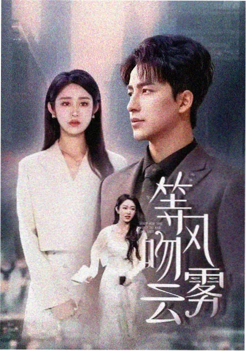 斩赤红之瞳 TV 动画 2014 年版封面